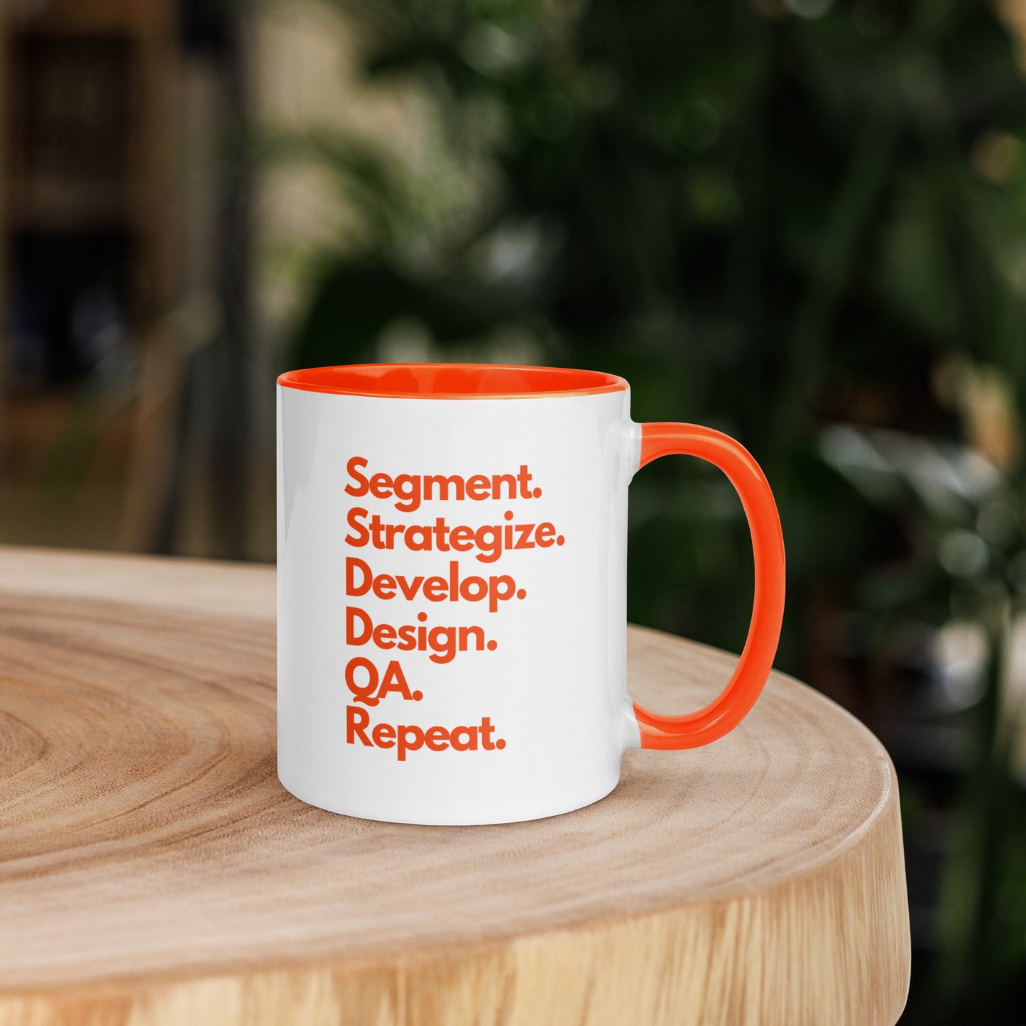 Segment. Strategize. Develop. Design. QA. Repeat.